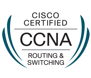 CISCO Network Servers