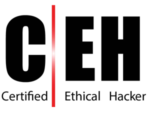 Certificate Of Ethical Hacking 