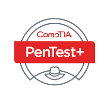 the official comptia pentest+ study guide, iitlearning.com, comptia penetration testing