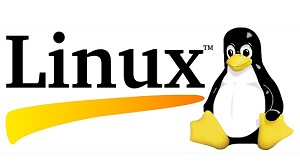 linux utility commands, iitlearning, shell scripting tutorial, useful linux commands for developers,